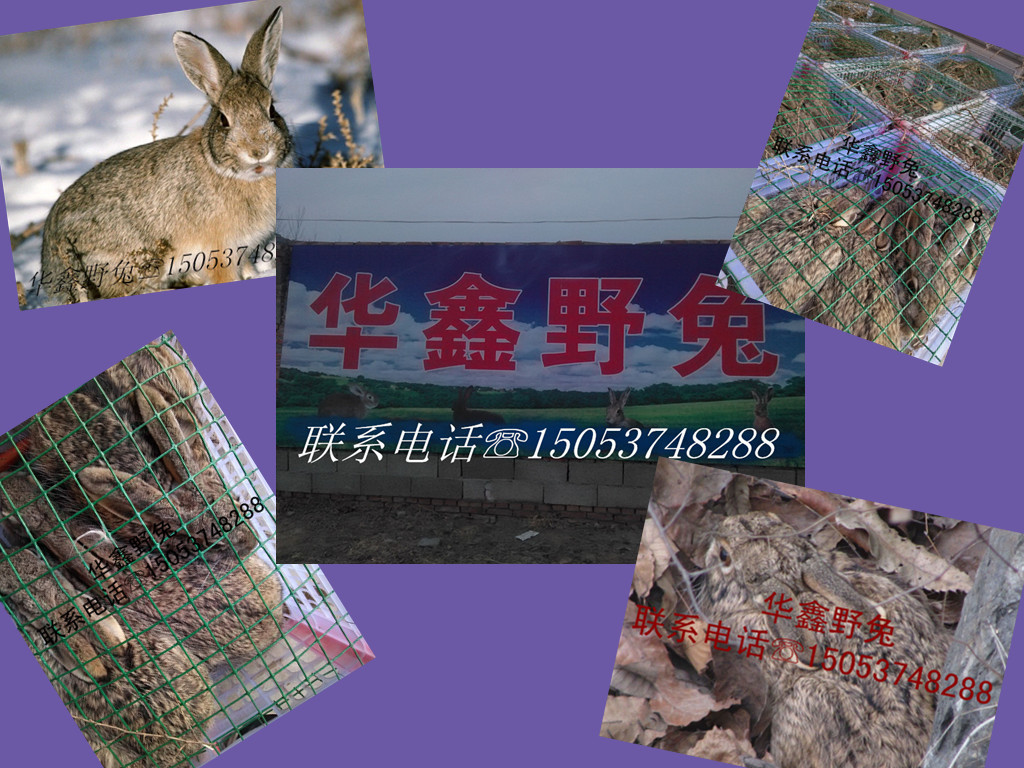 潭ҰõġҰü۸