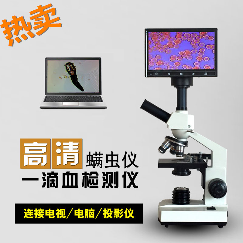 һѪǸ峧ҷ