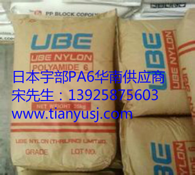 PA6 5034TX26 ˮ