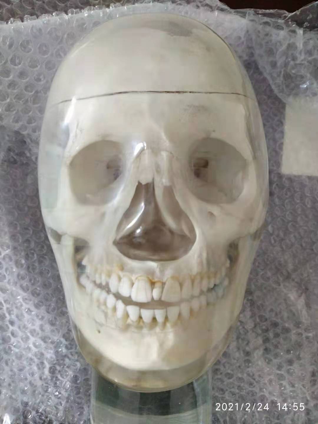 Xͷģ-˹ͷXͷģ