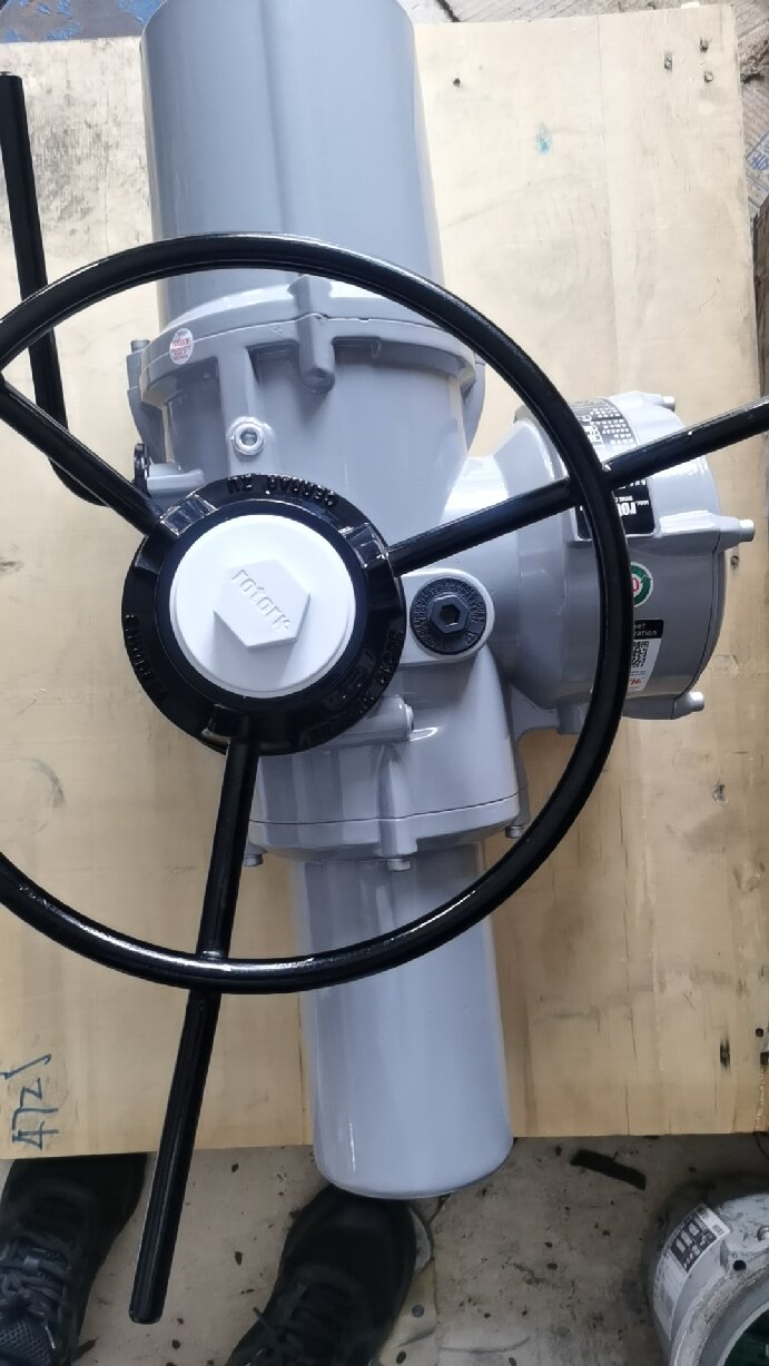 罗托克IQM20原装进口阀门执行器机构