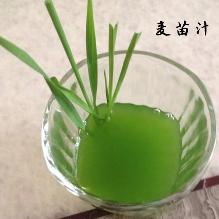 ﹩Ӧ֭ ֭ ȡҺ ŨҺ5Ũ
