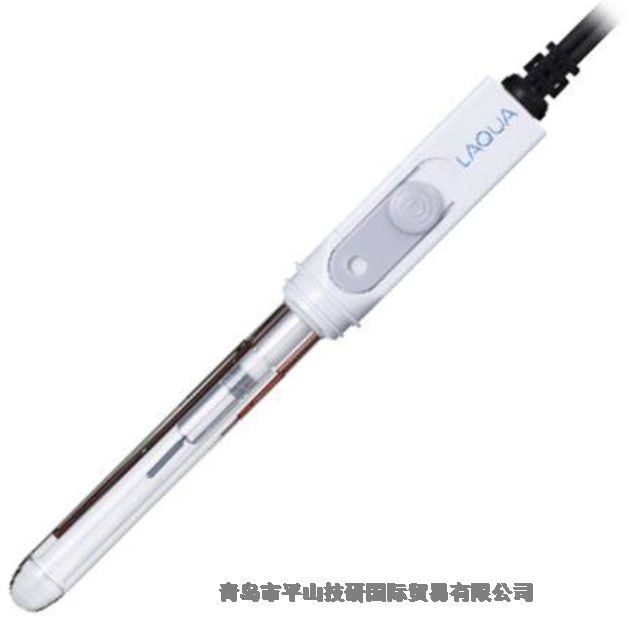  Horibaܥ׼缫 9615S-10D