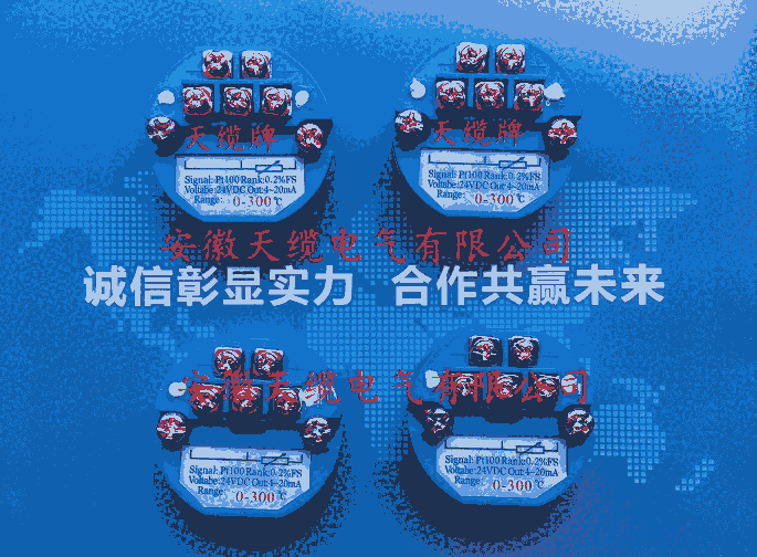 һ廯¶ȱSBWZ/2481/231SA  L=250*100mm 0-100 4-20mA