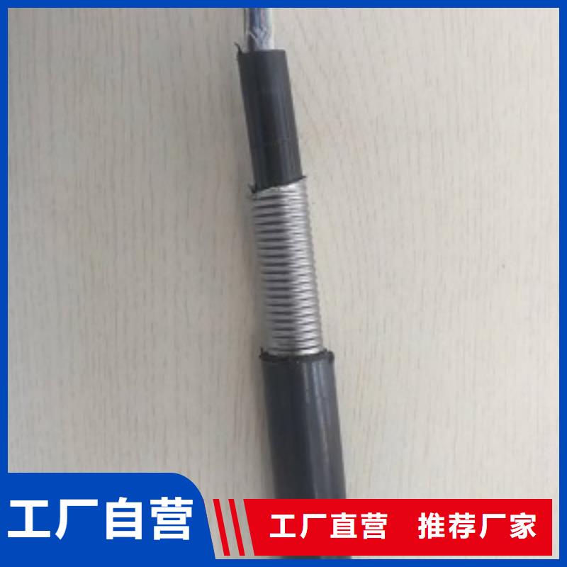 WDZCN-YJY23-0.6/1KV-3X10+2X6.0±ͻ