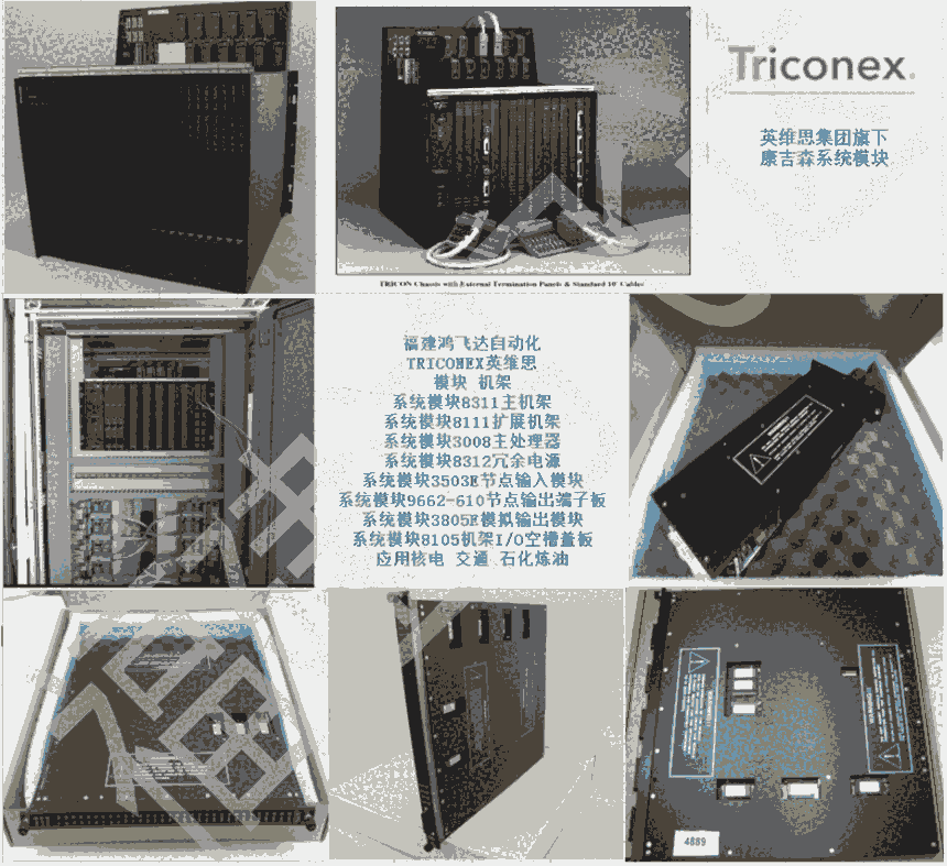 TRICONEXɭϵͳģ85-3194revQ͵ͺ