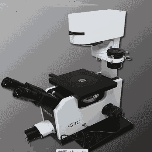 ¿΢XDS-1B