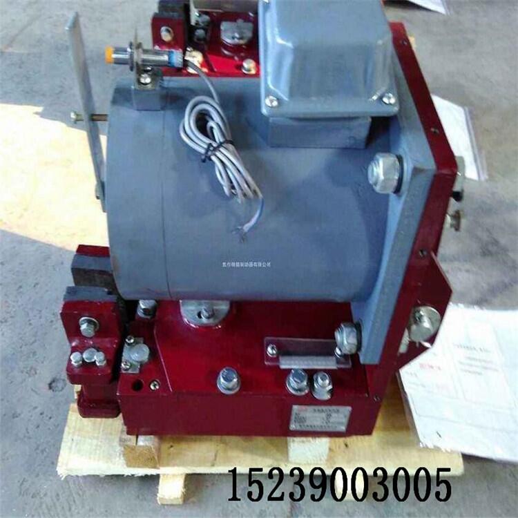 YWZ13-400/80Һѹƶ