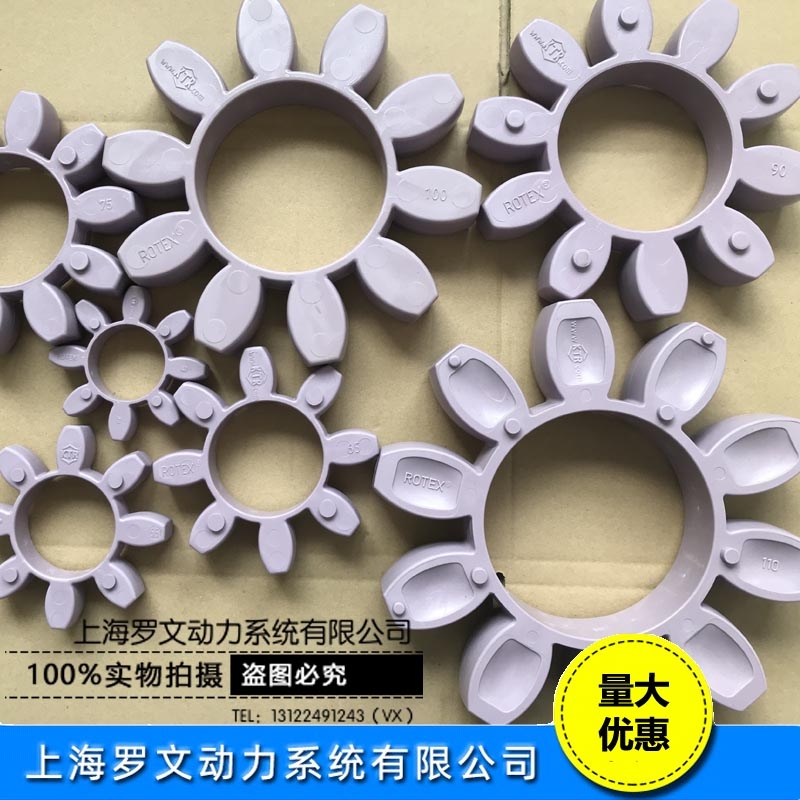 KTR ROTEX100÷͵׼