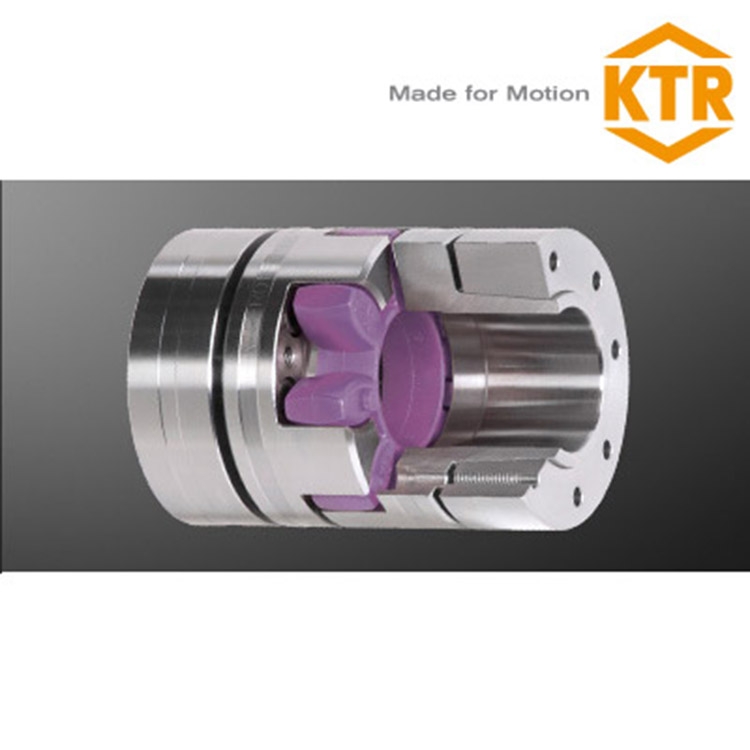 KTR ROTEX100÷͵׼