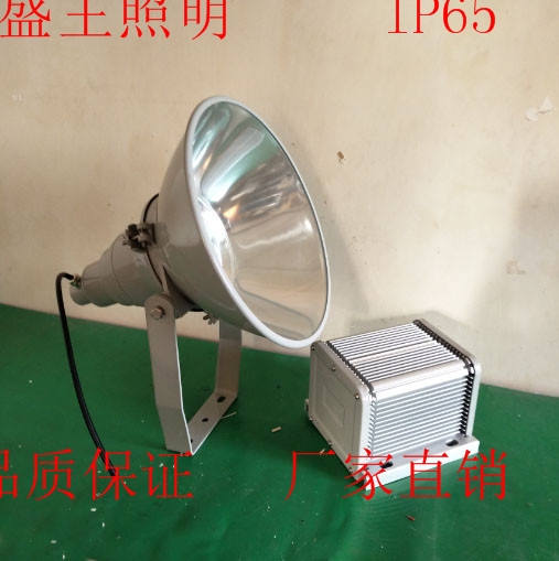 ZL8804-MH400W/250WʽͶ