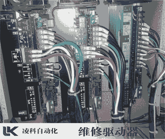 ˹PARVEXŴά޲ʾ