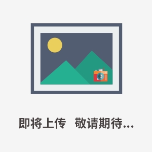 金相显微成像系统