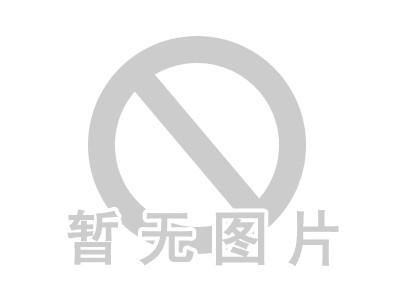 高速指示表全自动检定仪