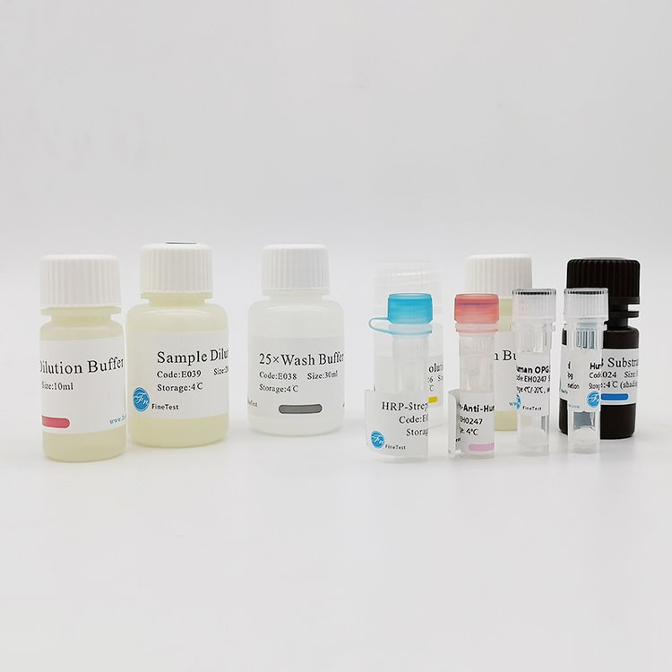 С1(SDC1)ø(elisa)Լ
