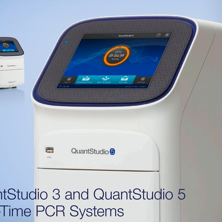 ThermofisherQuantStudio3ʵʱӫⶨPCRQS3