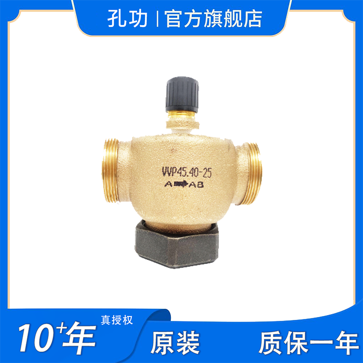 VVP45.10-1.6ӵڷDN10綯ͨˮSIEMENSֻȨ