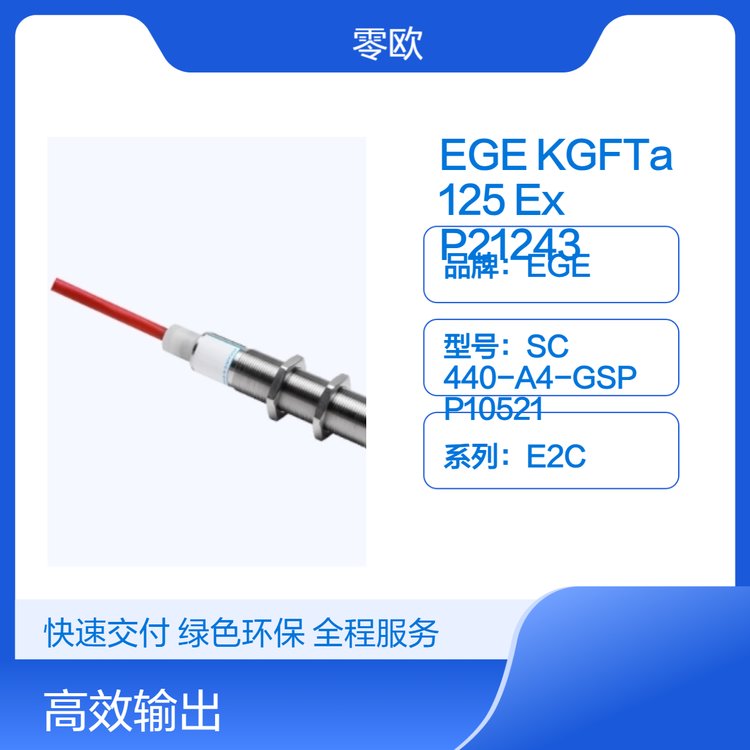 EGEKGFTa125ExP21243ʽβ24V60HZ