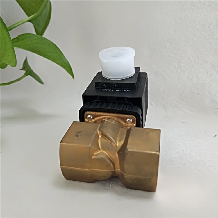 burkert2836±۲ֿڷ͸ʴ